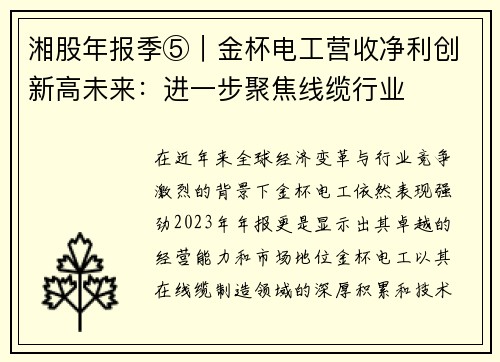 湘股年报季⑤｜金杯电工营收净利创新高未来：进一步聚焦线缆行业